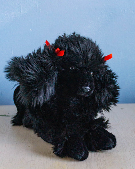 "romeo" black poodle