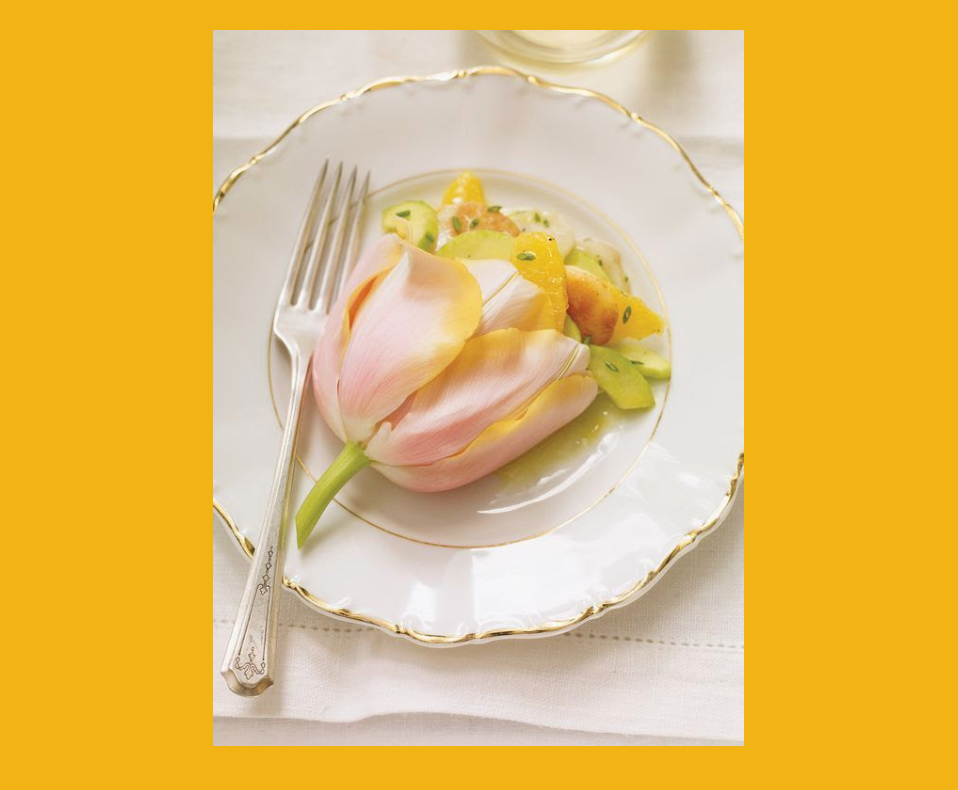 Four Ways to Appreciate Flowers 💐