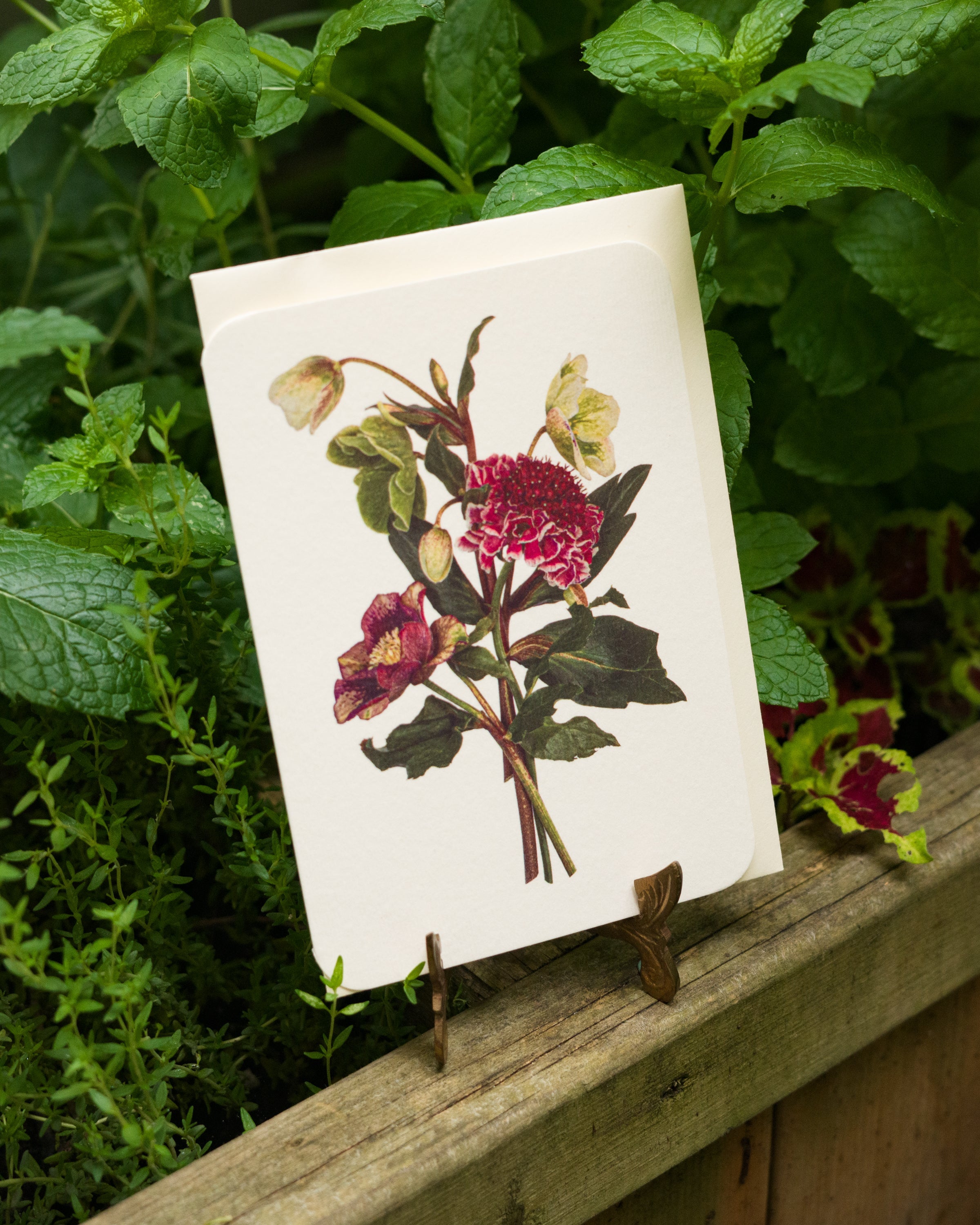 Greeting Cards