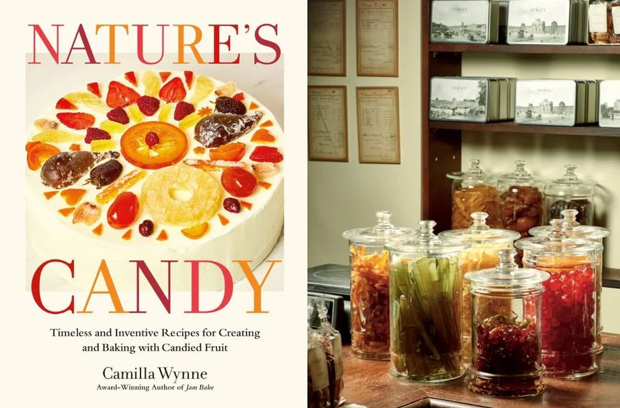BAA In Your Space: Camilla Wynne