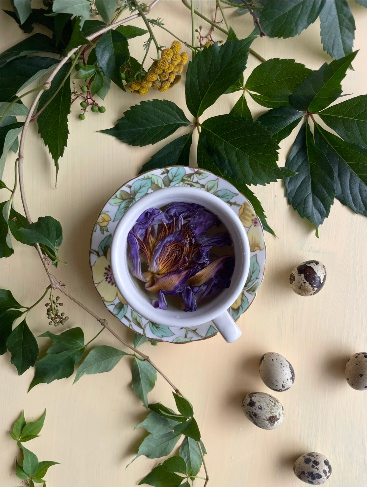 thé - infusion de fleurs