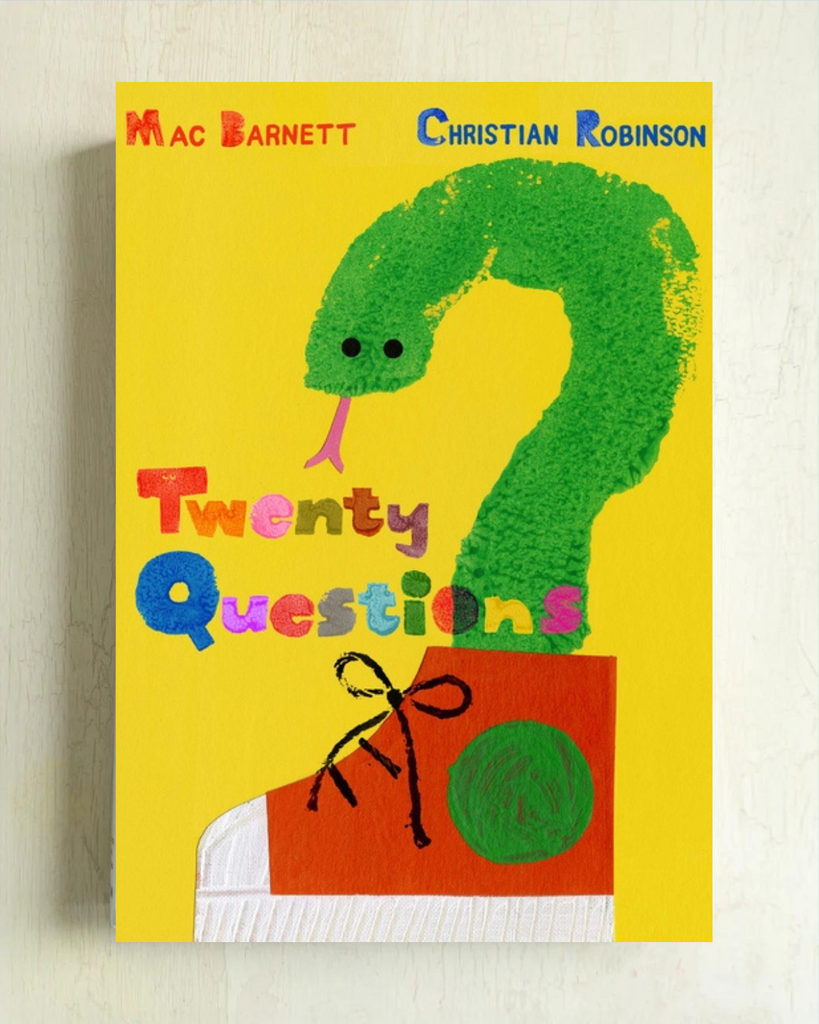 book - twenty questions