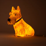 table lamp - scotty