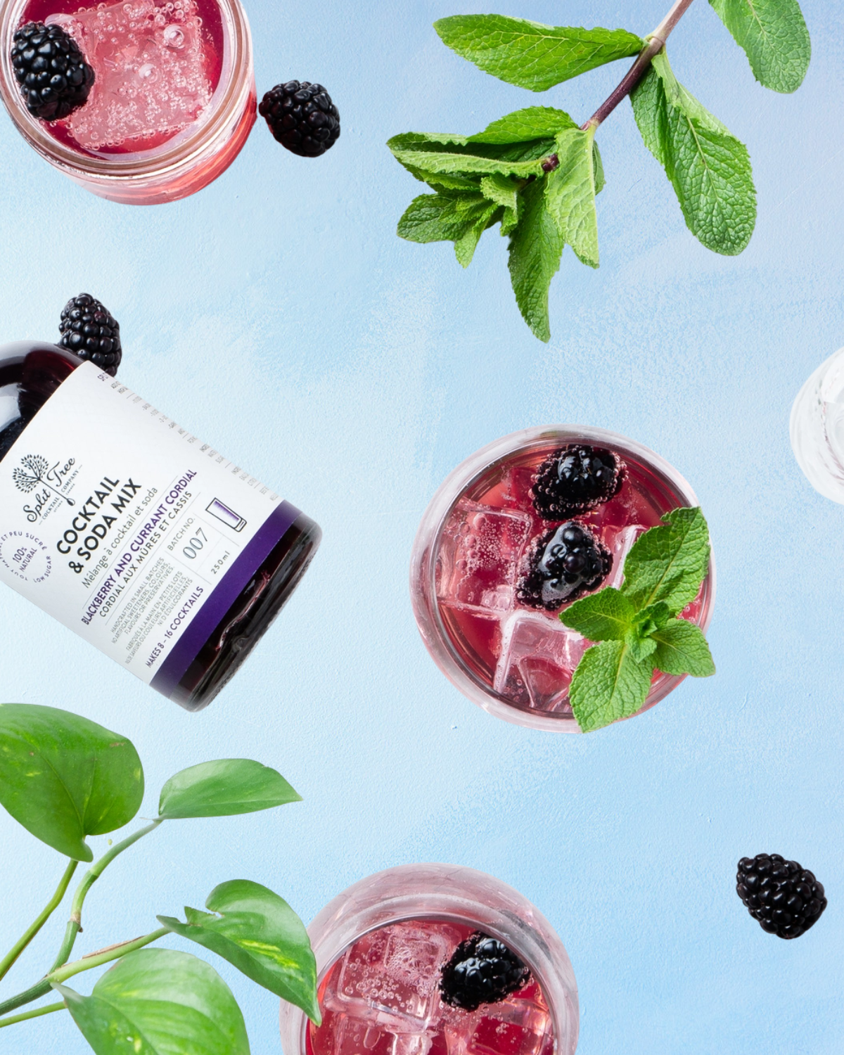 cocktail syrup - blackberry & currant cordial