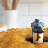 pie vent - blueberry
