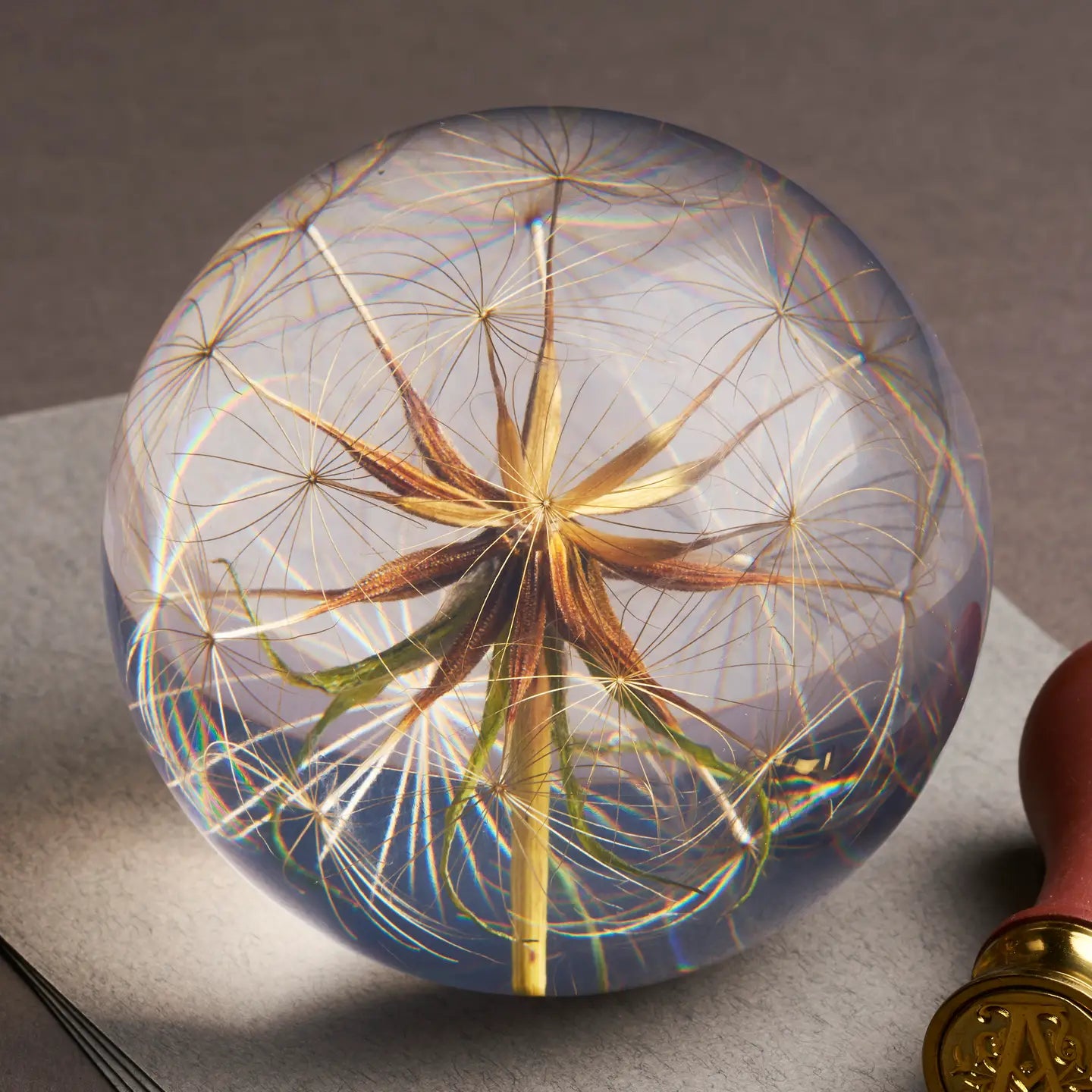 paperweight - goatsbeard