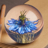 paperweight - nigella (multiple sizes)