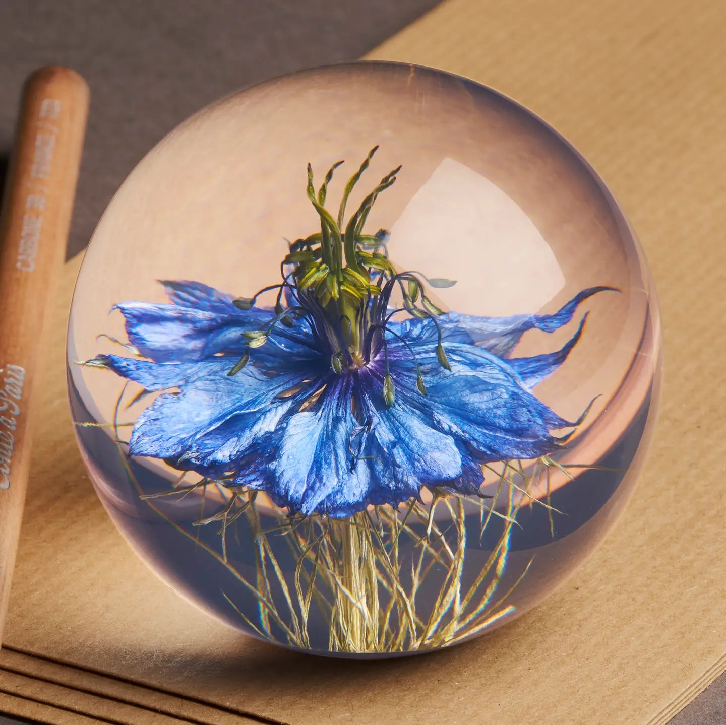 paperweight - nigella (multiple sizes)