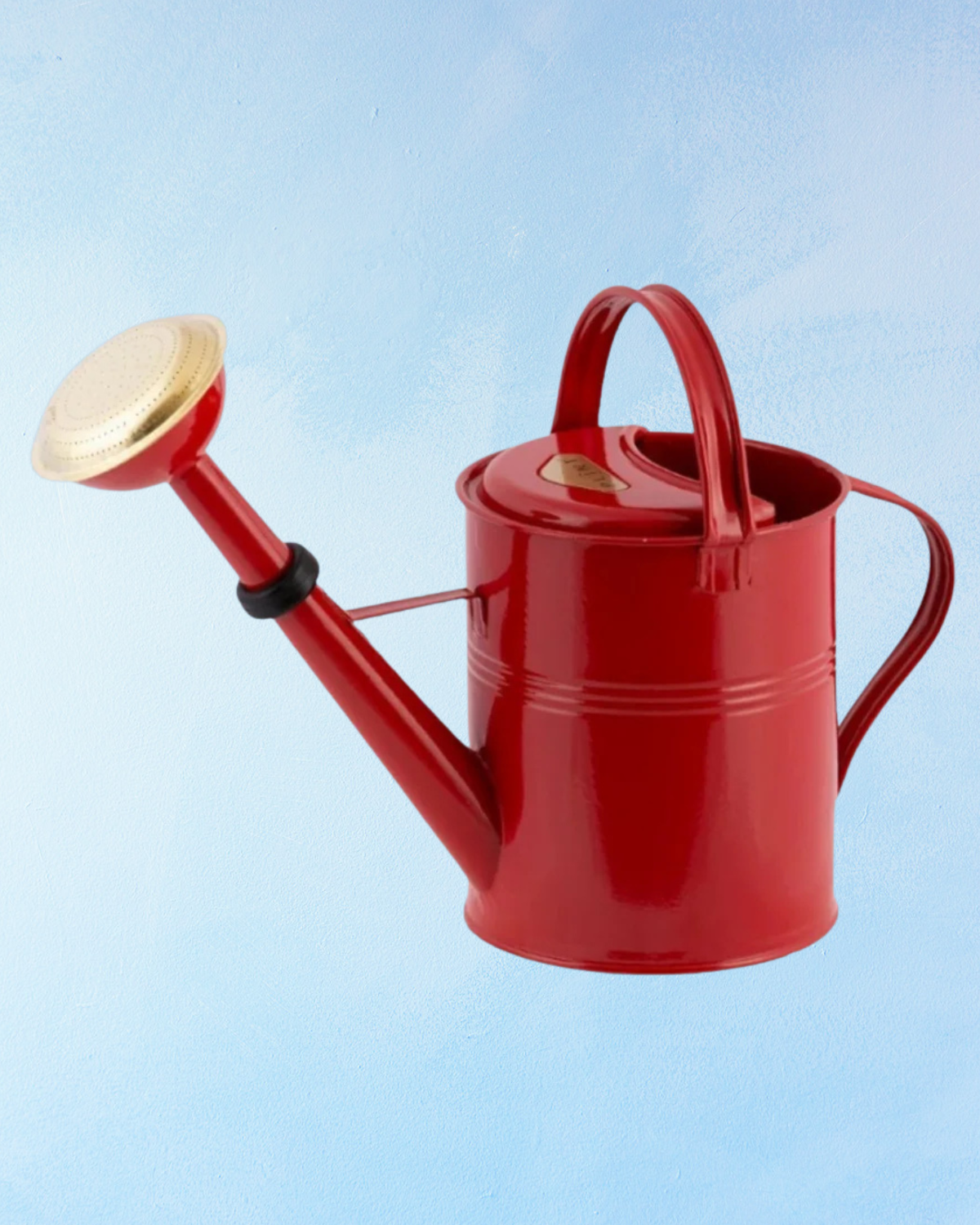 watering can - 5L (assorted colours)