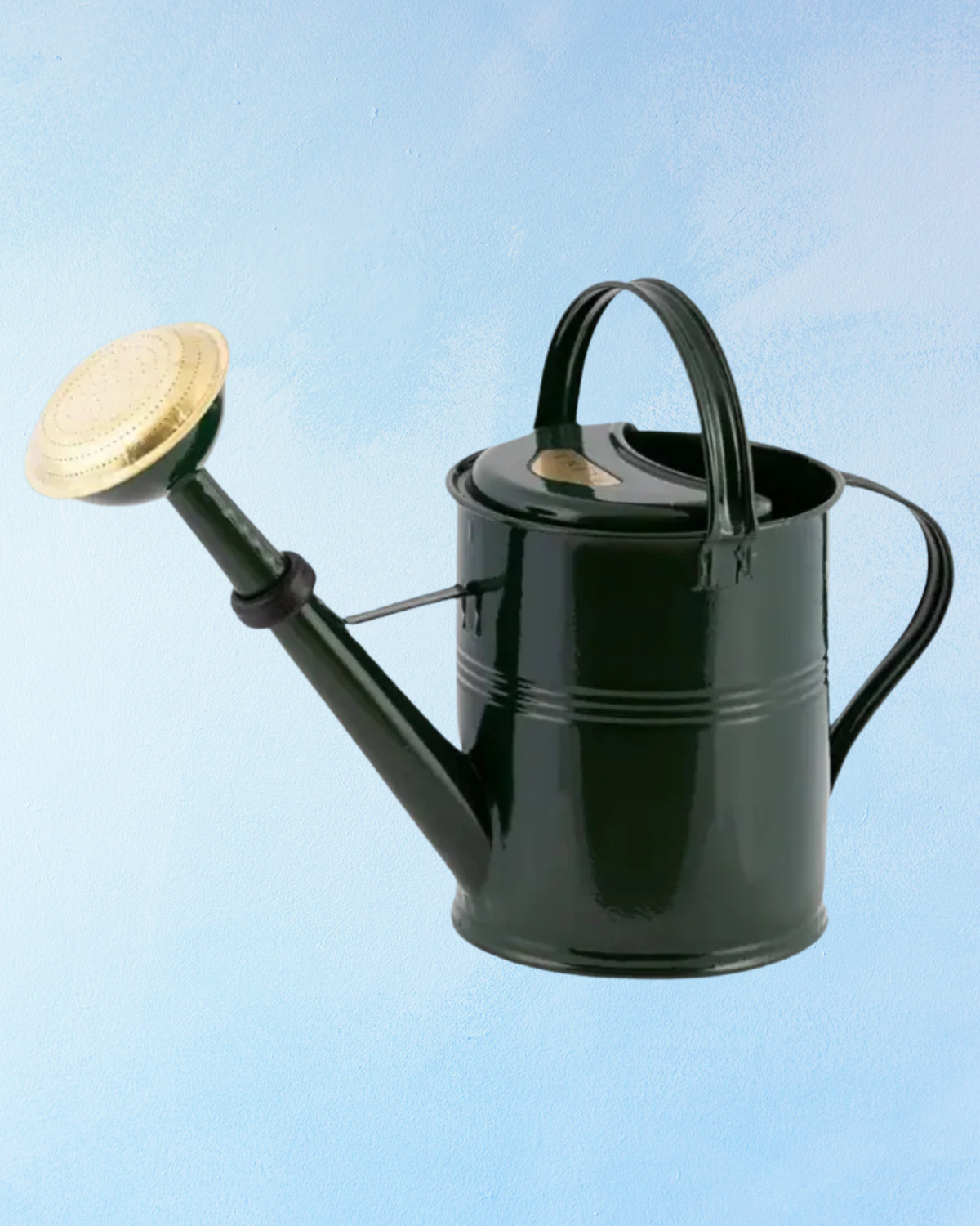 watering can - 5L (assorted colours)