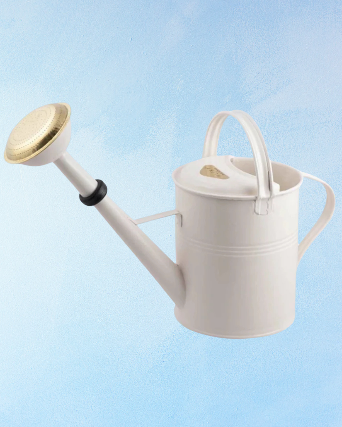 watering can - 5L (assorted colours)