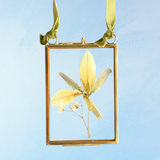ornament - pressed flower (multiple styles)