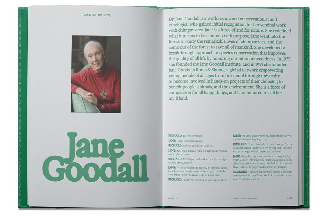 book - flamingo estate the guide to becoming alive