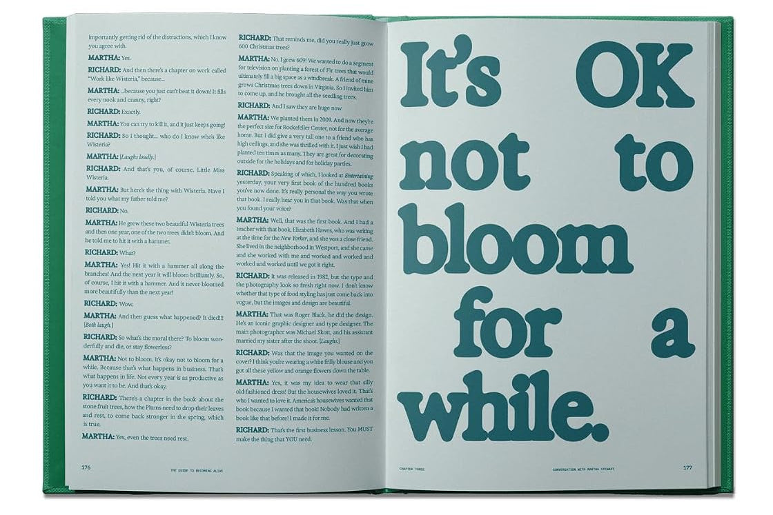 book - flamingo estate the guide to becoming alive