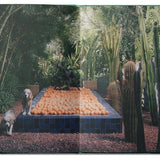 livre - flamingo estate the guide to becoming alive