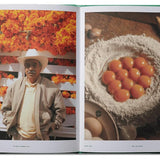livre - flamingo estate the guide to becoming alive