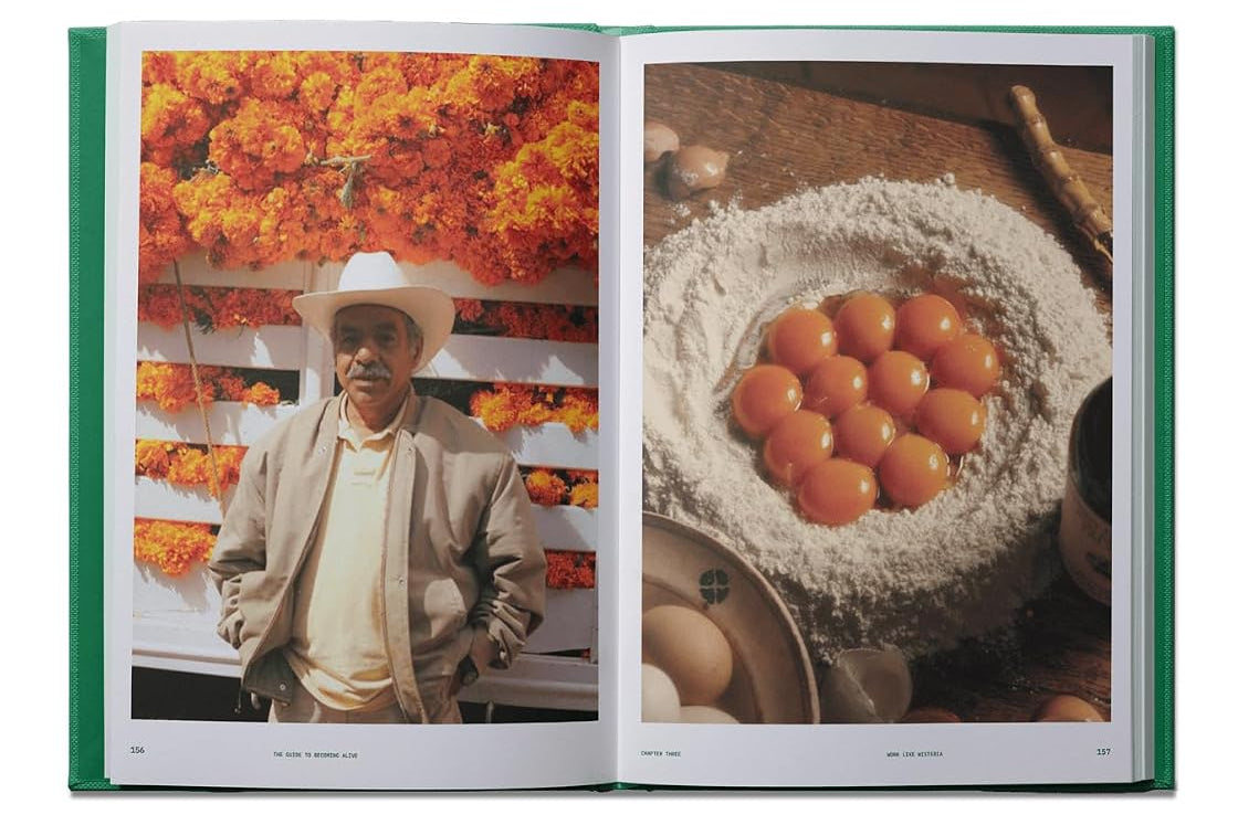 book - flamingo estate the guide to becoming alive