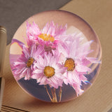 presse-papier - rhodanthe