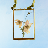 ornament - pressed flower (multiple styles)