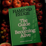 livre - flamingo estate the guide to becoming alive