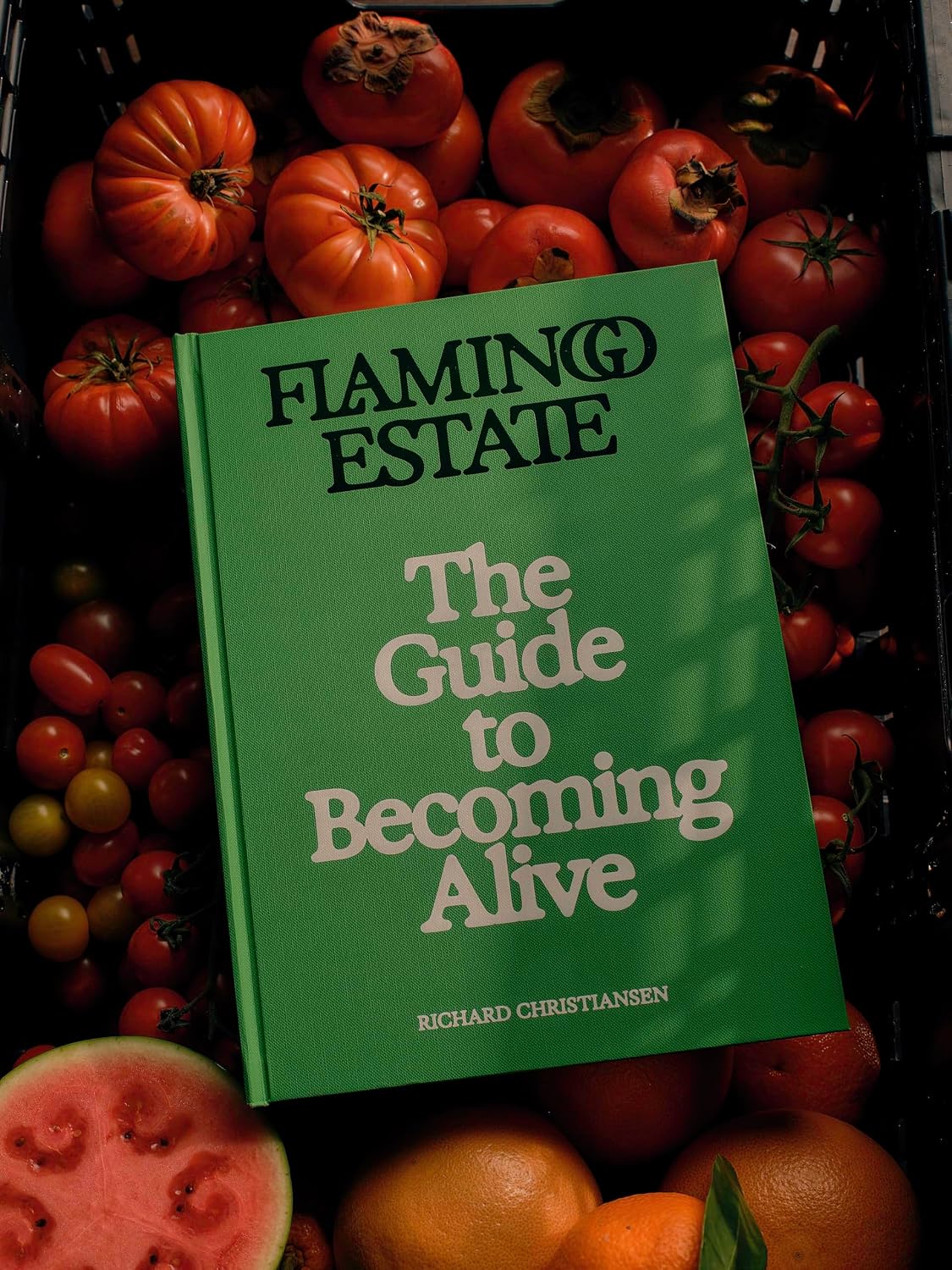 book - flamingo estate the guide to becoming alive