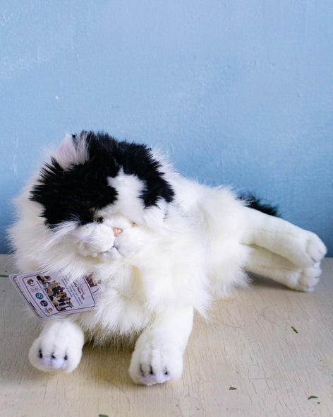 "woodrow" white and black piebald cat