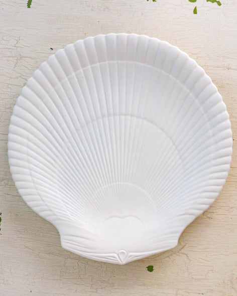 curated - shell dish