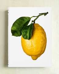 book - the gourmand’s lemon. a collection of stories and recipes