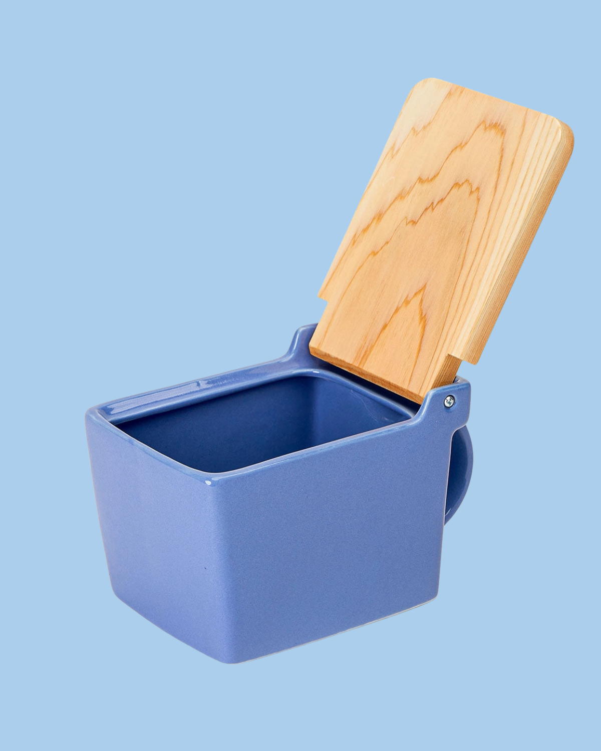 ceramic salt cellar - blueberry