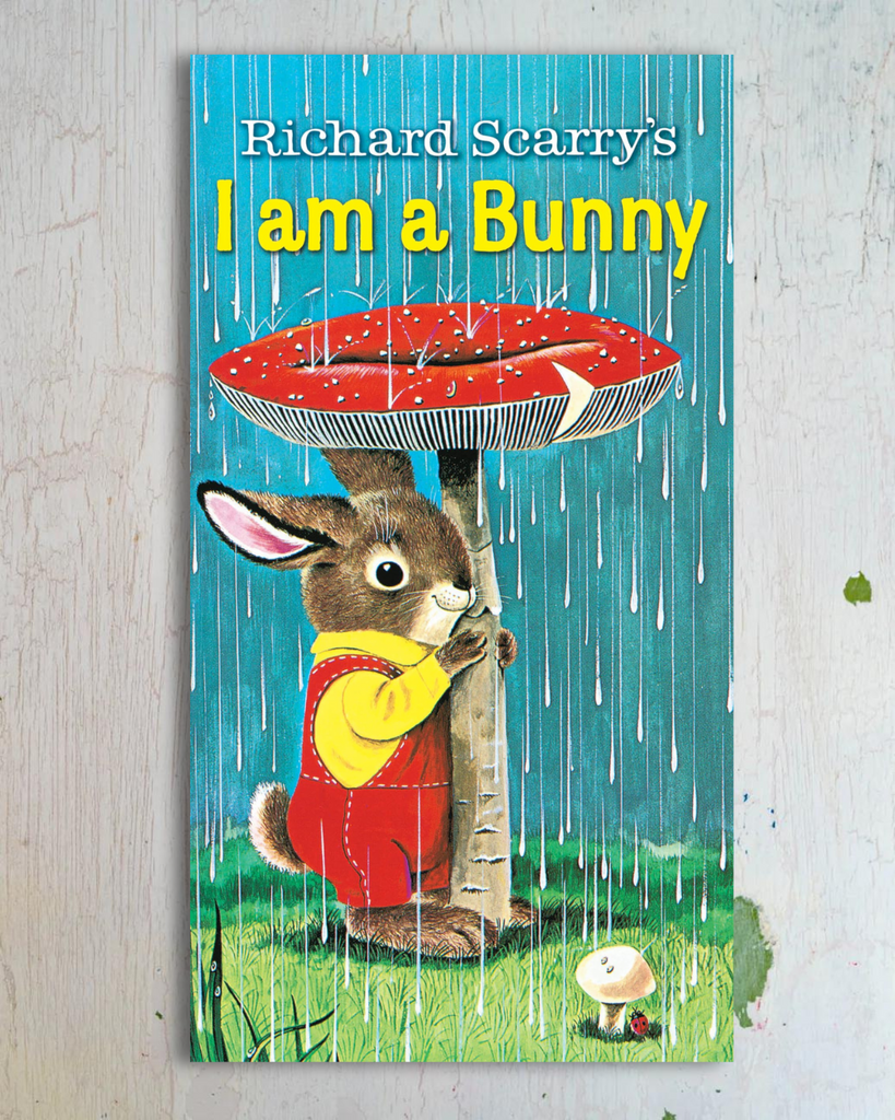 book - i am a bunny