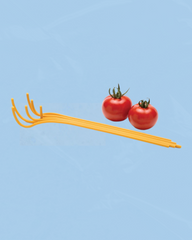 spaghetti pasta serving tool