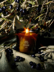 candle - olive tree