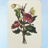 greeting card - posy of hellebore & scabiosa