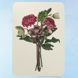 greeting card - posy of hellebore & scabiosa the 2nd