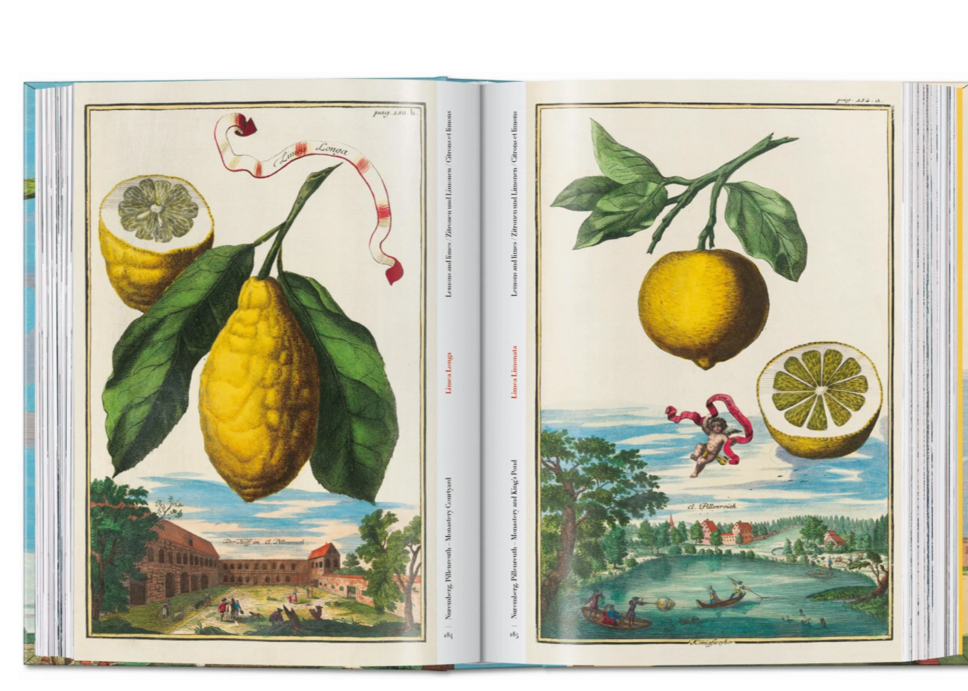 book - the book of citrus fruits