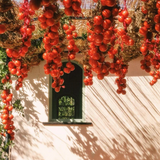 room spray - flamingo estate: roma heirloom tomato