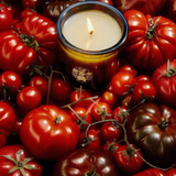bougie - Flamingo Estate: tomate ancienne roma
