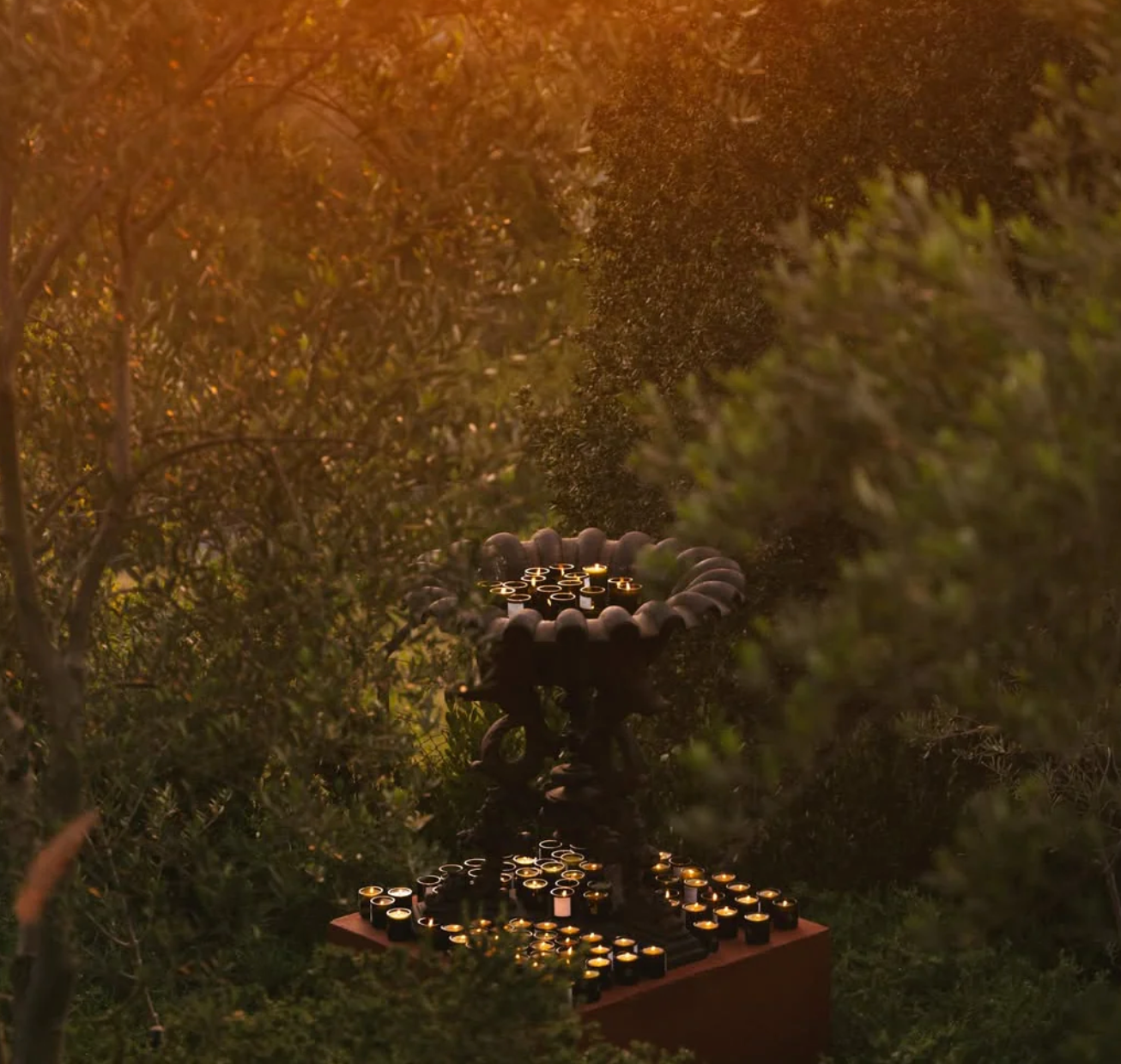 candle - flamingo estate olive tree