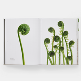 book - still: the art of noticing