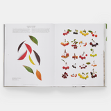 book - still: the art of noticing