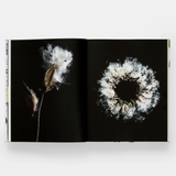 book - still: the art of noticing