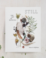 book - still: the art of noticing