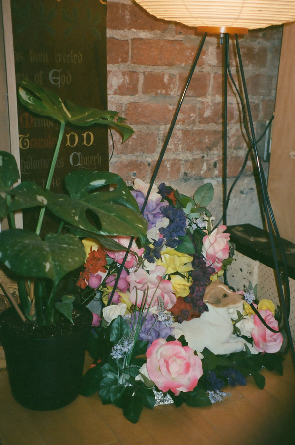 BAA In Your Space: Lauren Tamaki & Ben Walton