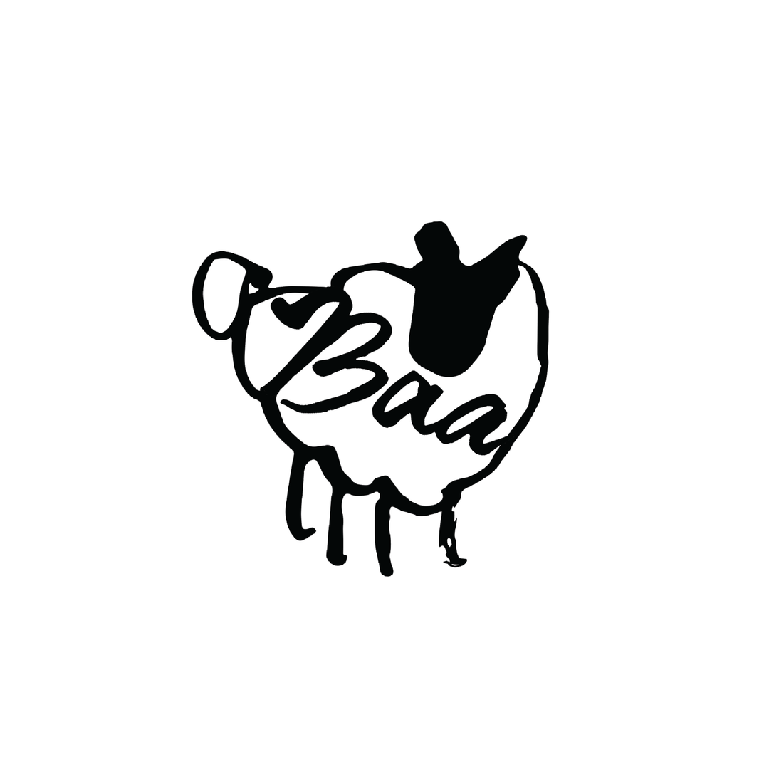 pillow - round pink shell – Baa Baazaar