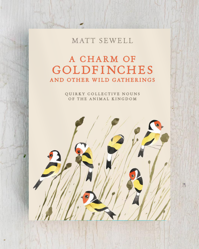 book - a charm of goldfinches and other wild gatherings: quirky collective nouns of the animal kingdom