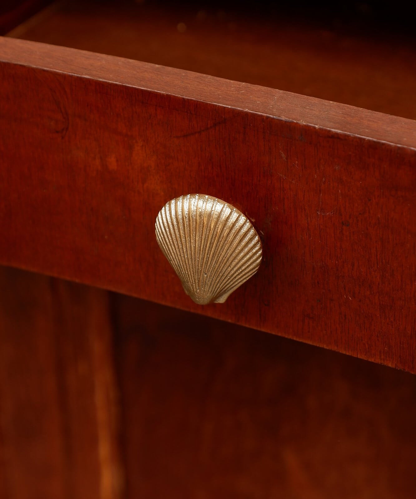 furniture knob -brass:  abbey shell