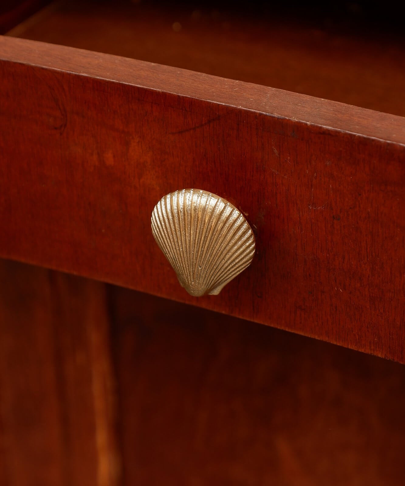 furniture knob - abbey shell