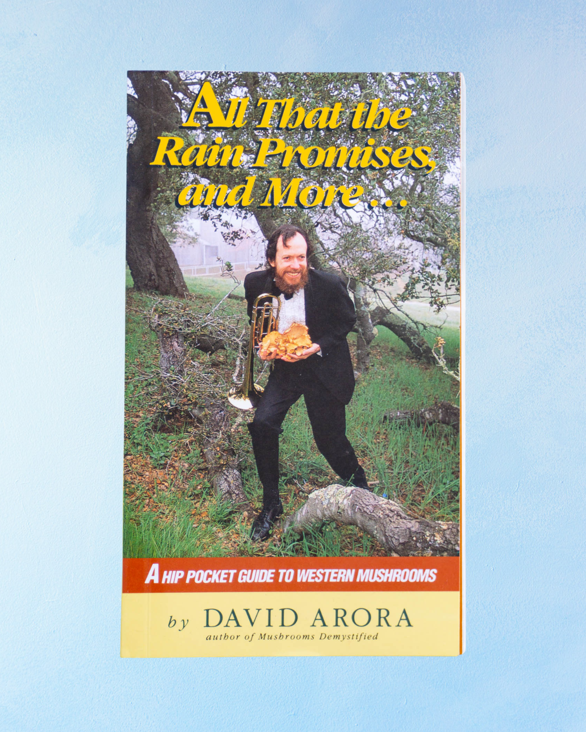 book - all that the rain promises and more...
