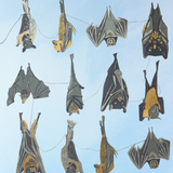 garland - bats