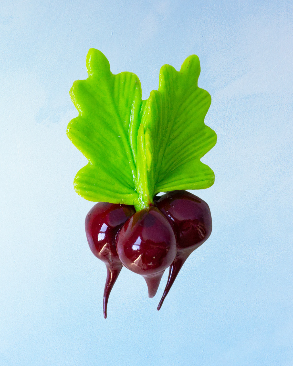 magnet - beets